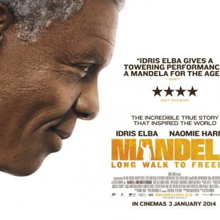 Mandela: Long Walk to Freedom (2013)