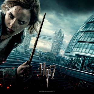 Harry Potter and the Deathly Hallows: Part 1 (2010)