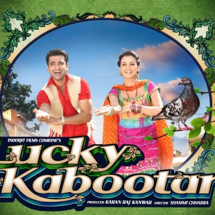 Lucky Kabootar (2014)