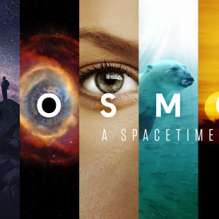 Cosmos: A SpaceTime Odyssey (2014– )