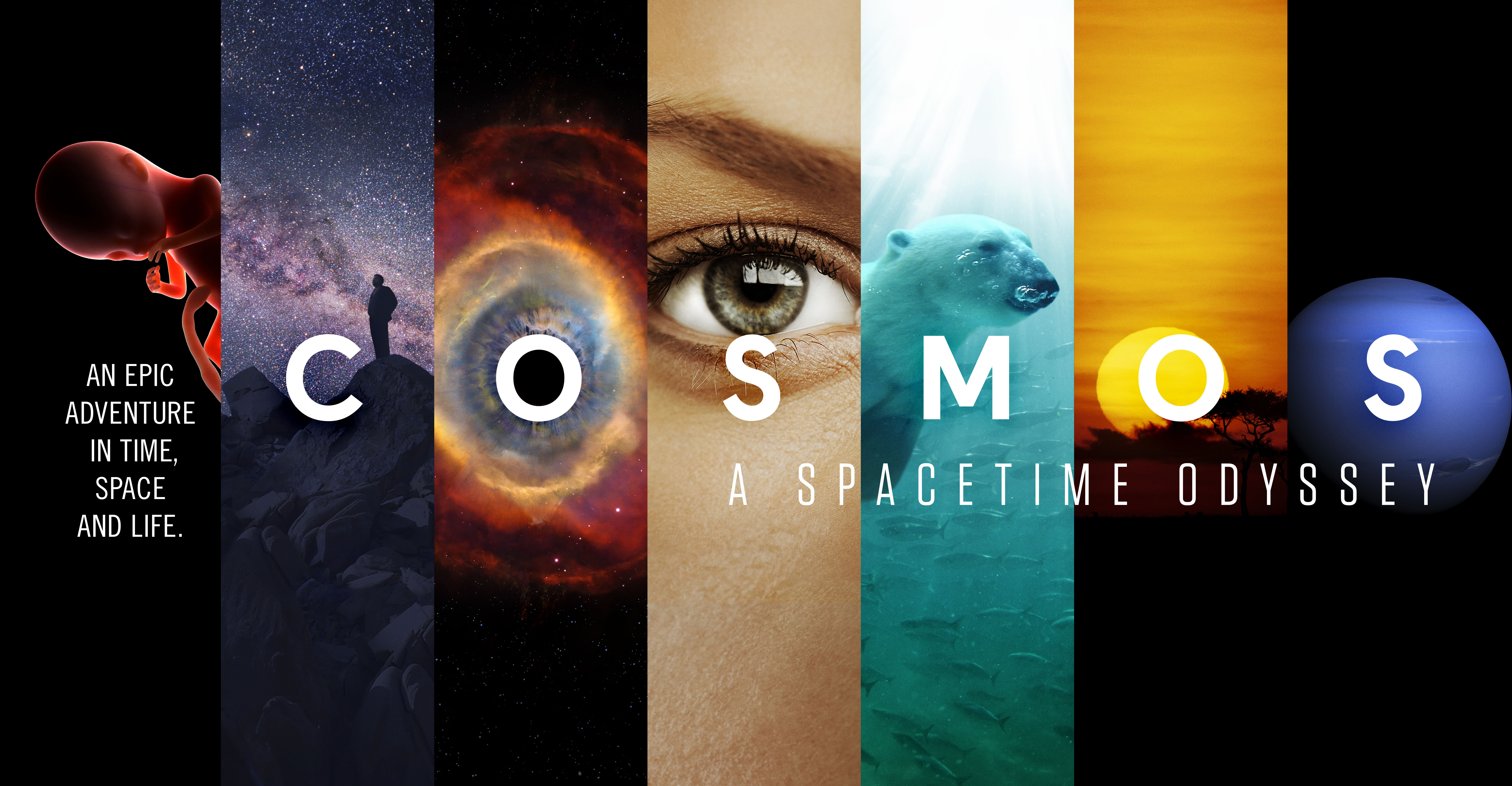 Cosmos: A SpaceTime Odyssey (2014– )