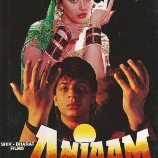 Anjaam (1994)