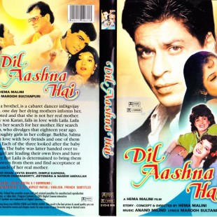 Dil Aashna Hai (1992)