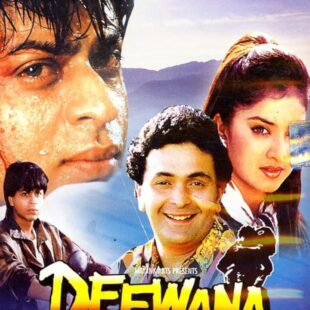 Deewana (1992)