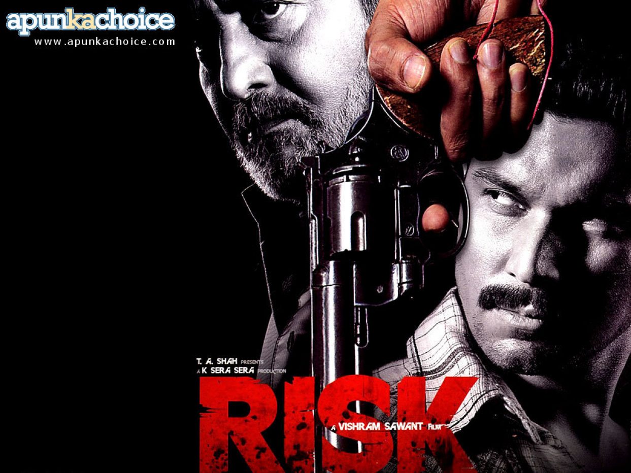 Risk (2007)
