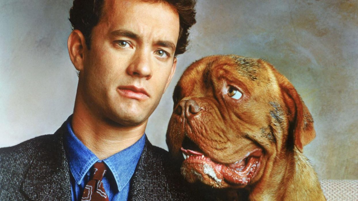 Turner & Hooch (1989)