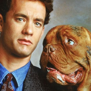 Turner & Hooch (1989)