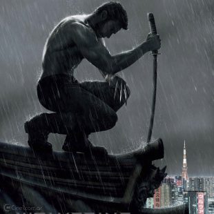 The Wolverine (2013)