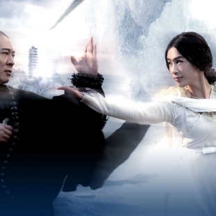 The Sorcerer and the White Snake (2011)