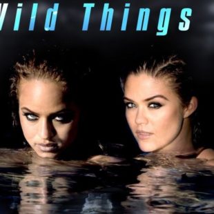 Wild Things 2 (2004)