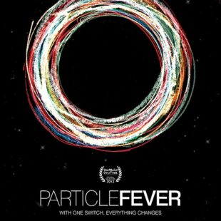 Particle Fever (2013)