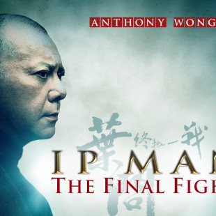 Ip Man: The Final Fight (2013)