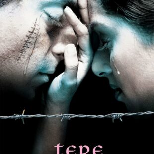 Tere Naam (2003)