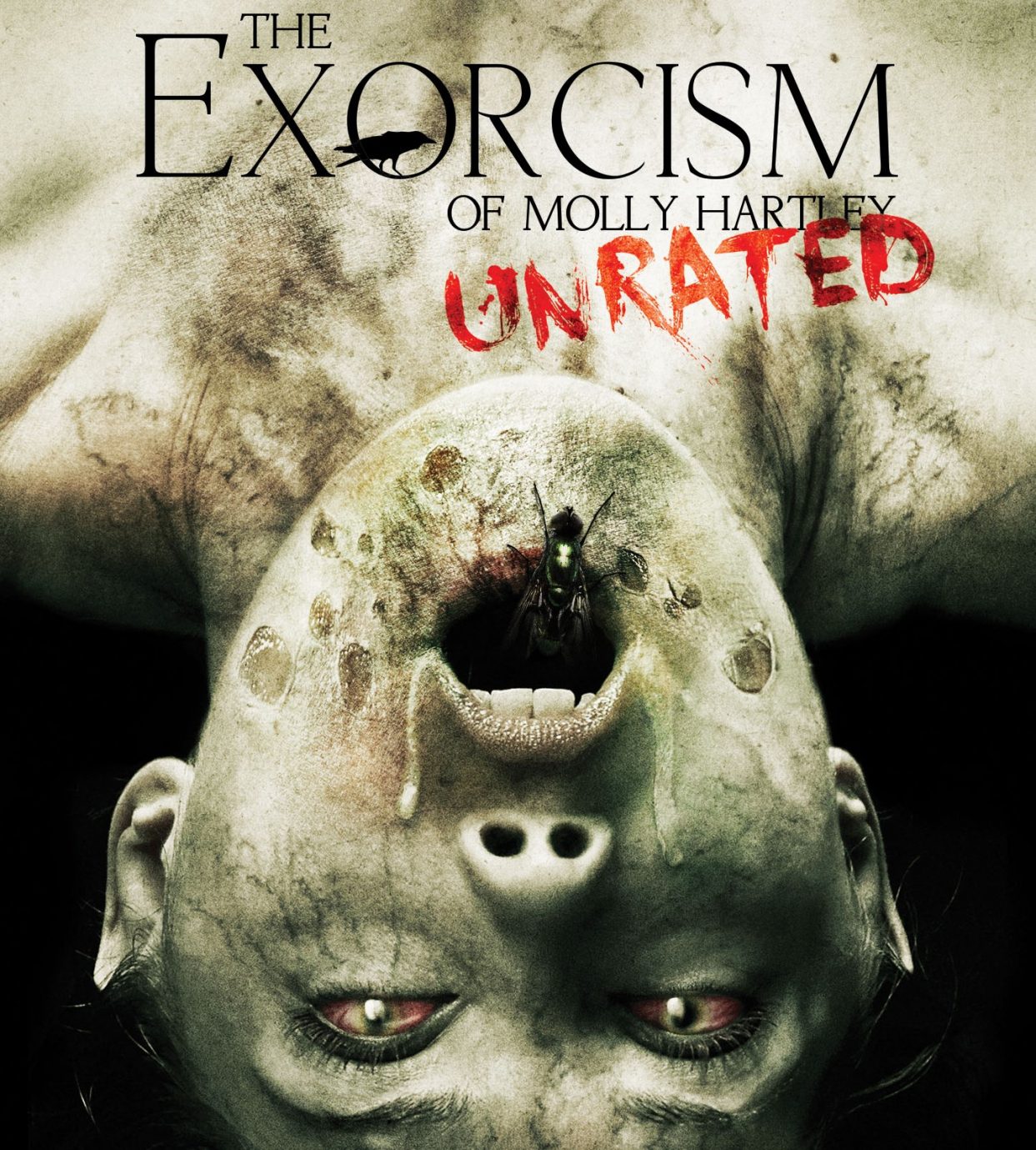 The Exorcism of Molly Hartley (2015)