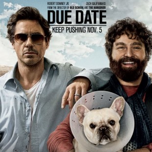 Due Date (2010)