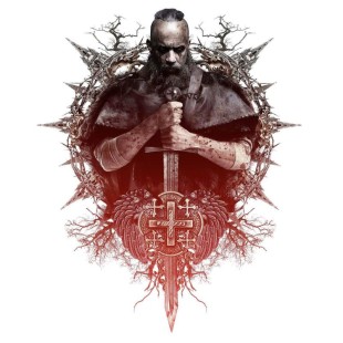 The Last Witch Hunter (2015)