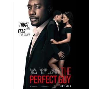 The Perfect Guy (2015)