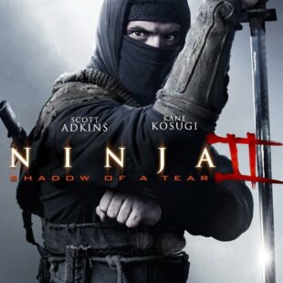 Ninja: Shadow of a Tear (2013)