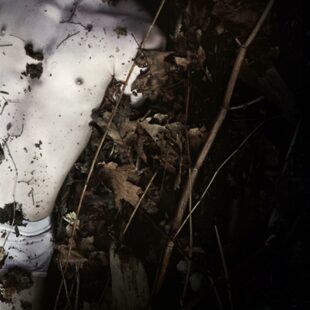 Jamie Marks Is Dead (2014)