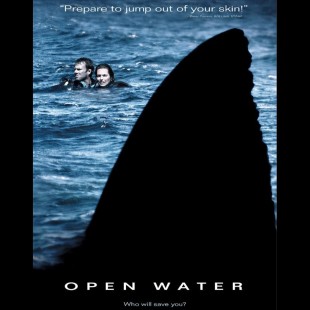 Open Water (2003)