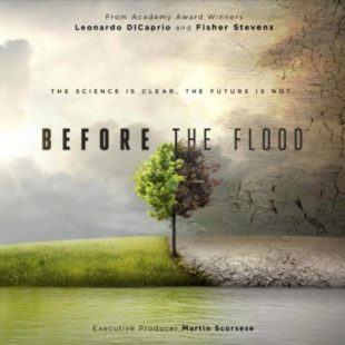 Before the Flood (2016)