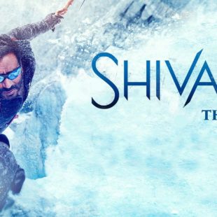 Shivaay (2016)