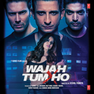 Wajah Tum Ho (2016)