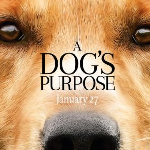 A Dog’s Purpose (2017)