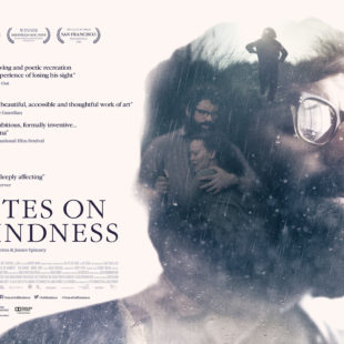 Notes on Blindness (2016)