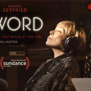 The Last Word (2017)