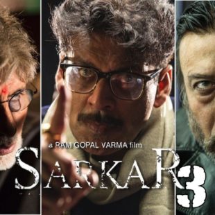 Sarkar 3 (2017)