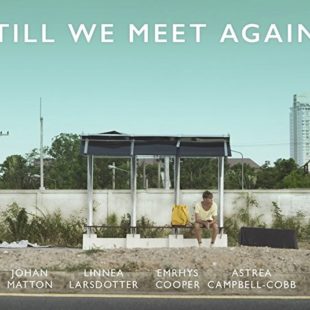 Till We Meet Again (2016)