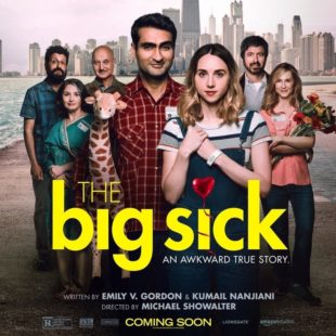 The Big Sick (2017)