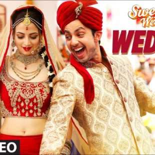 Sweetiee Weds NRI (2017)