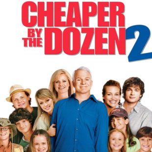 Cheaper by the Dozen 2 (2005)