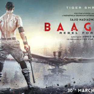 Baaghi 2 (2018)