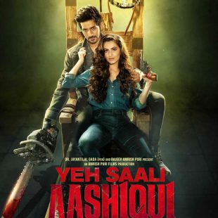 Yeh Saali Aashiqui (2019)