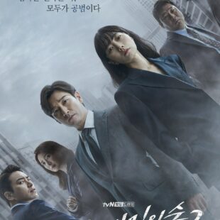 Stranger (2017– )