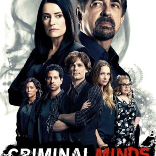 Criminal Minds (2005–2020)