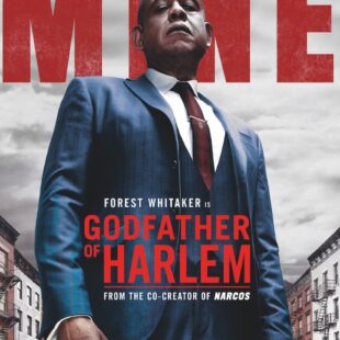 Godfather of Harlem (2019– )
