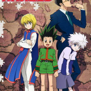 Hunter x Hunter (2011–2014)