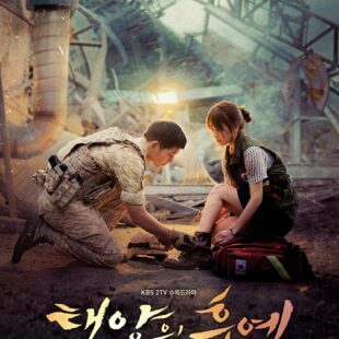 Descendants of the Sun (2016-)