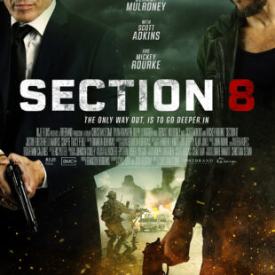 Section 8 (2022)