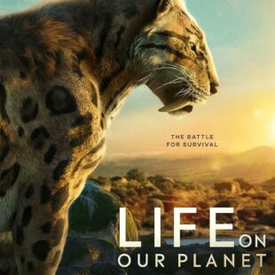 Life on Our Planet (2023-)