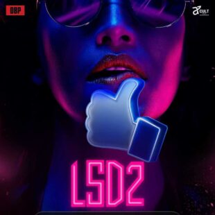 Love, Sex Aur Dhokha 2 (2024)