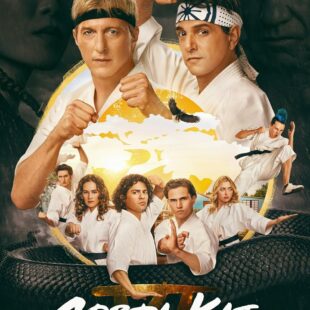 Cobra Kai (2018– )
