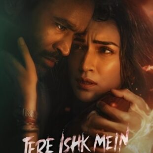 Tere Ishk Mein (2025)