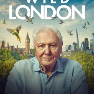 Wild London (2026)