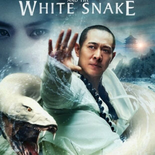 The Sorcerer And The White Snake (2011)